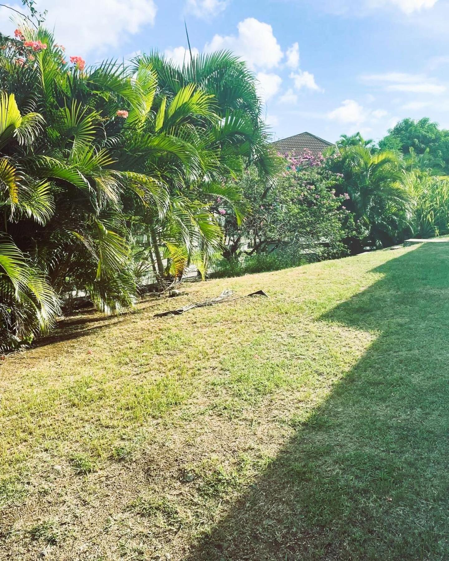 Villa Caraibes Sainte-Luce Buitenkant foto